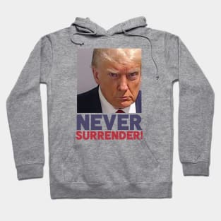 Never Surrender! - Donald Trump Mugshot Hoodie